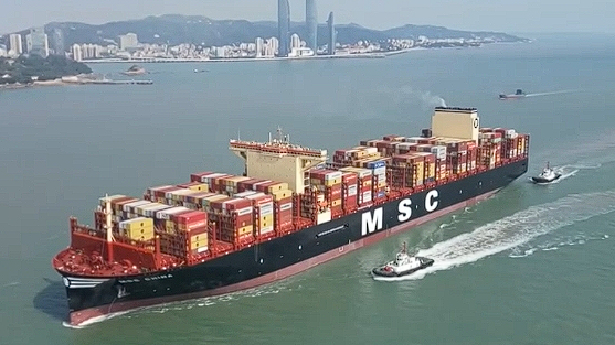 稳外贸“国家队”加码为企业出海兜底