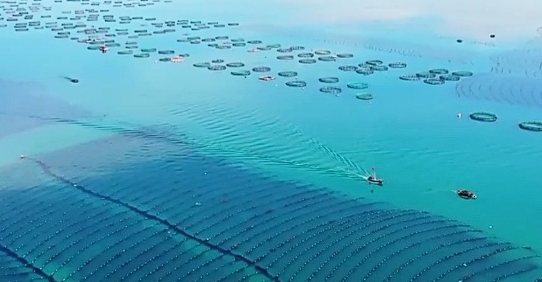 多项经济民生数据发布：海洋经济、林草产业、长三角外贸稳中有进